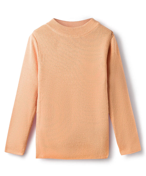 RVK Full Sleeves Solid Skivvy Sweater